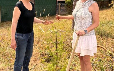 Ein Baum für die Zukunft